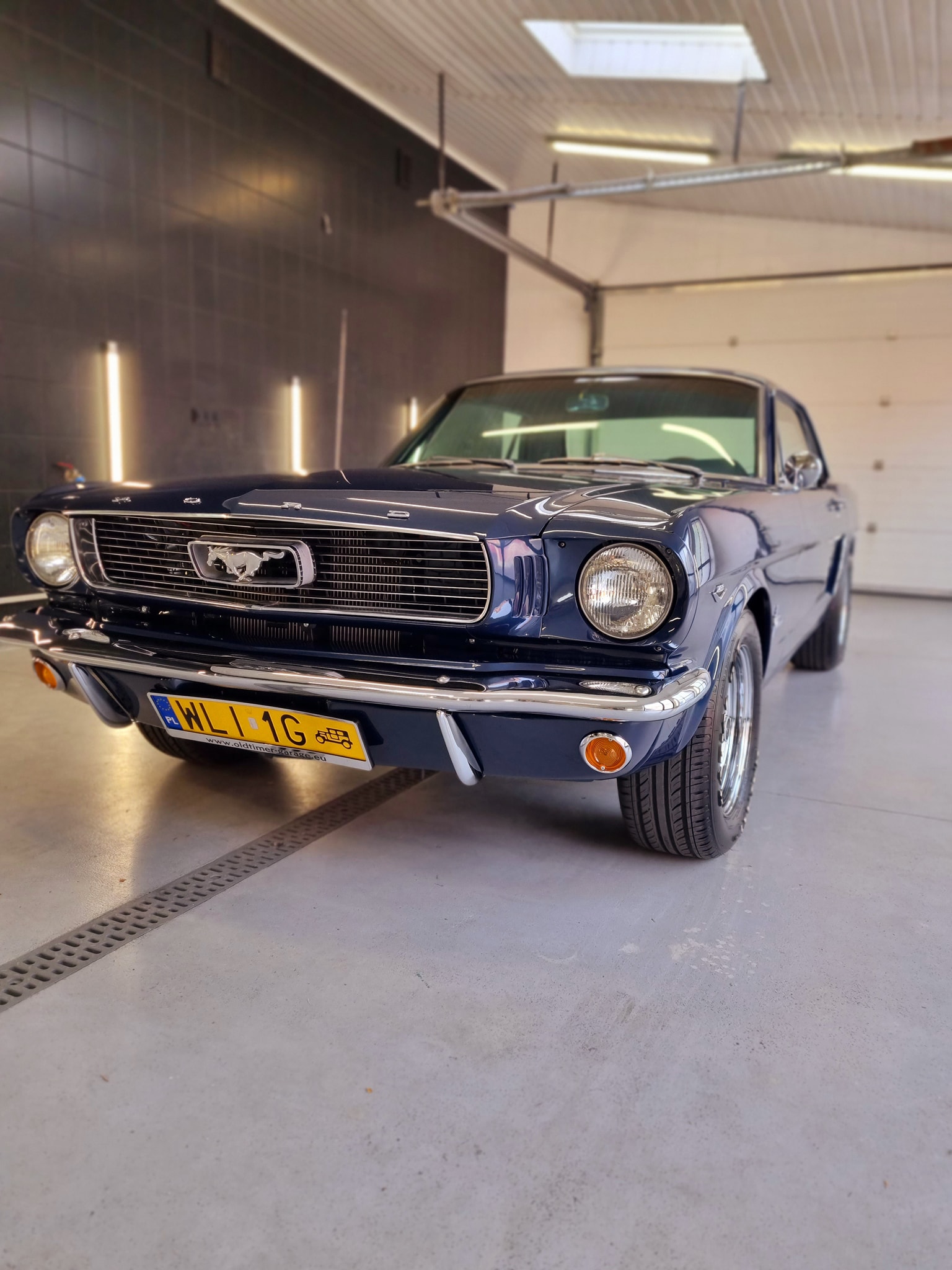 Pakiet Medium SPA - Ford Mustang 1965